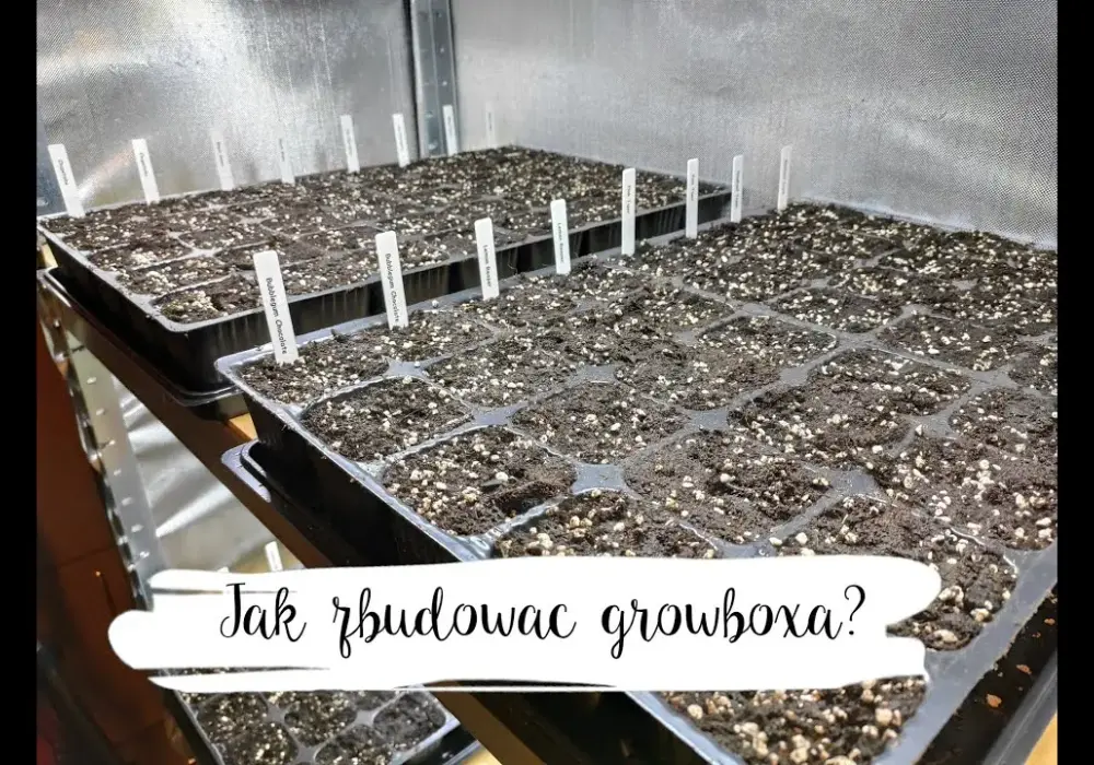Jak stworzyć idealny growbox DIY: materiały, instrukcje i porady