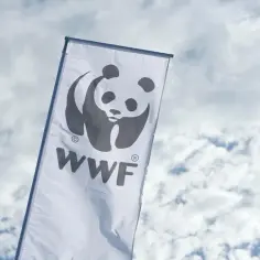 W którym roku powstało wwf? Odkryj historię organizacji i jej oddziałów