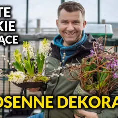 Wiosenne DIY: 10 prostych projektów, które odmienią twój dom i ogród
