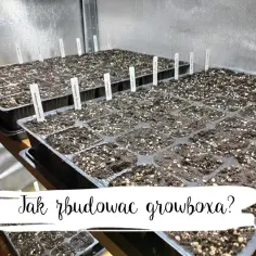 Jak stworzyć idealny growbox DIY: materiały, instrukcje i porady
