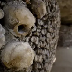 Ściany paryskich katakumb wyłożone ludzkimi czaszkami i kośćmi. Mroczna, kamienna przestrzeń, gdzie historia splata się z wiecznością.