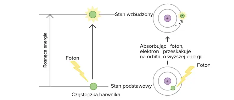 Foton i energia światła - jak to działa naprawdę?